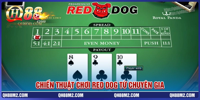 Chiến thuật chơi game red dog qh88 từ các chuyên gia Chiến thuật chơi game red dog qh88 từ các chuyên gia